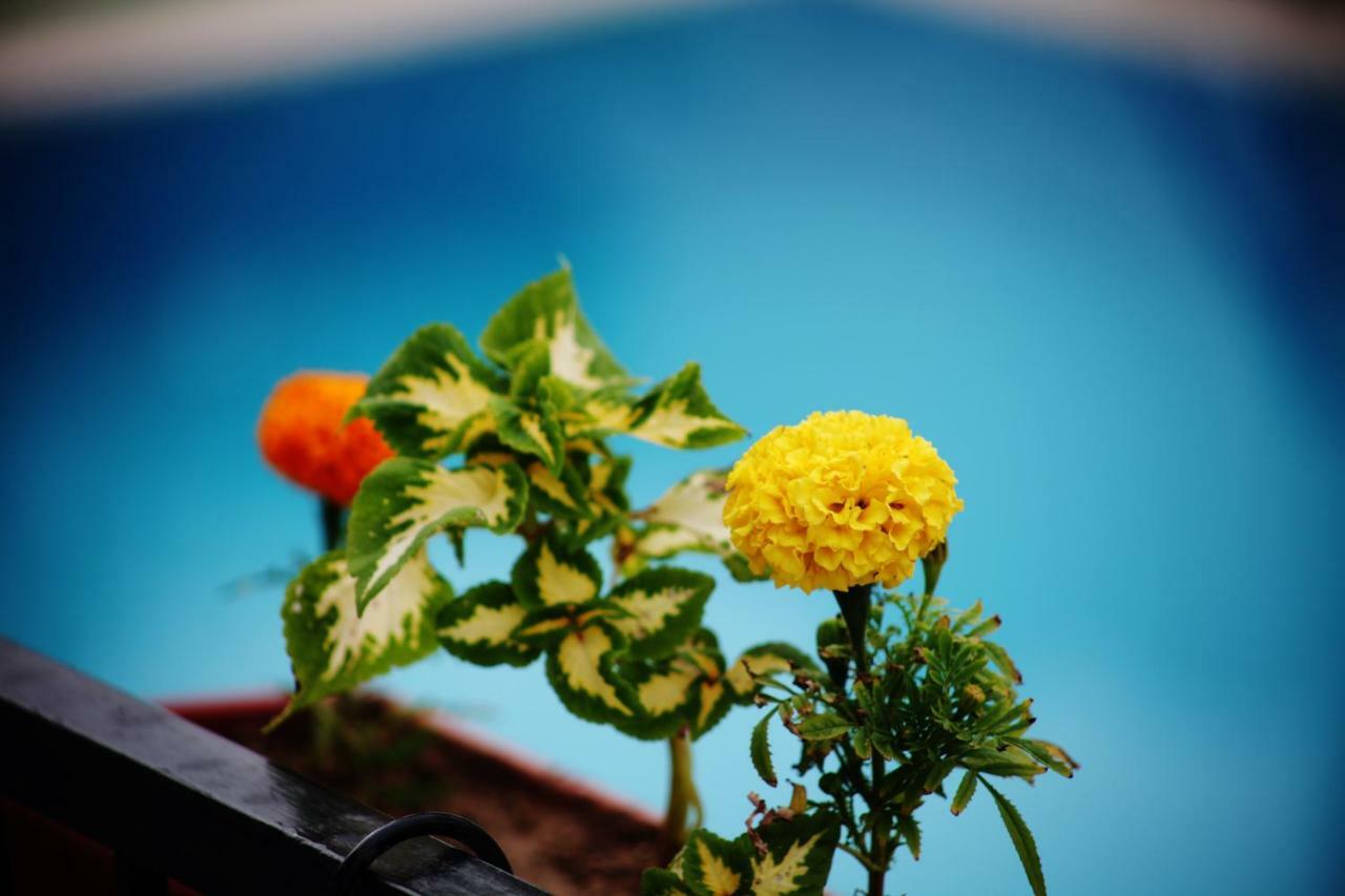 Can Otel Bodrum Exteriér fotografie